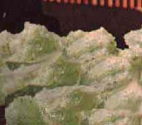 docinhos de batata-doce, riototal